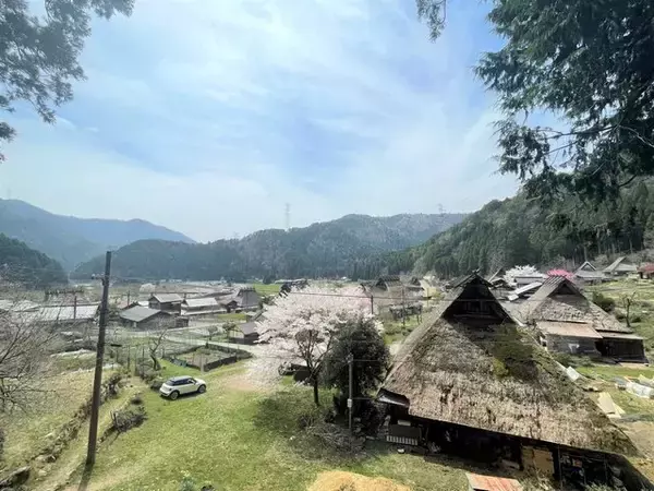 「【京都の桜】美山 かやぶきの里でお花見を堪能！日本の原風景が広がる観光スポット」の画像