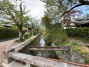 【新緑】京都哲学の道にある熊野古道の起点！京都三熊野に数えられる神社「熊野若王子神社」
