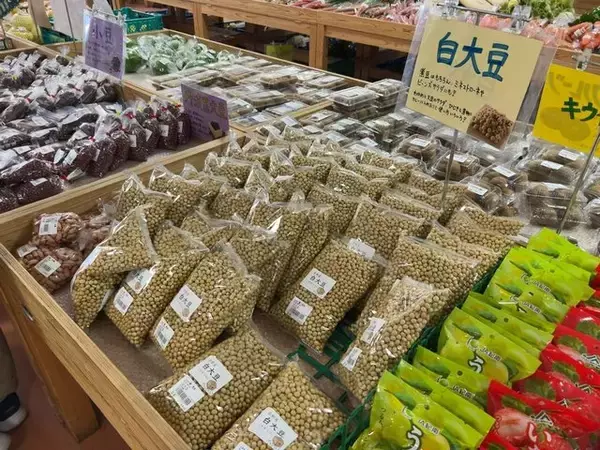 「【京都市場】今が旬の冬野菜満載☆京野菜も豊富な京都最大級直売所「たわわ朝霧」」の画像