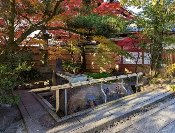 「安井金比羅宮で京都の冬の縁起物「稲宝来」の授与が開始」の画像