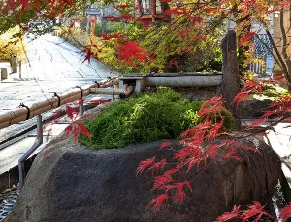 「安井金比羅宮で京都の冬の縁起物「稲宝来」の授与が開始」の画像