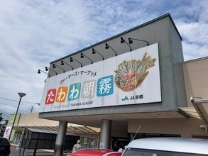 【京都市場】夏の京野菜も続々登場！京都最大級ファーマーズマーケット「たわわ朝霧」