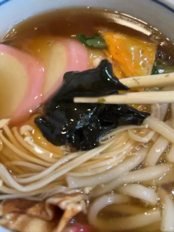 「【京都ランチ】映画『飛んで埼玉』登場のご当地グルメとは一体？北野天満宮門前店「田舎亭」」の画像