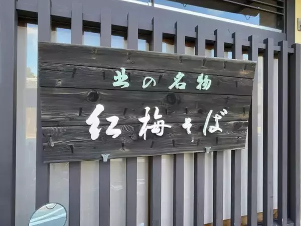 「【京都ランチ】映画『飛んで埼玉』登場のご当地グルメとは一体？北野天満宮門前店「田舎亭」」の画像