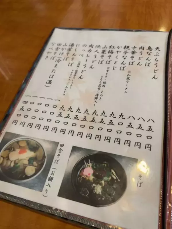 「【京都ランチ】映画『飛んで埼玉』登場のご当地グルメとは一体？北野天満宮門前店「田舎亭」」の画像