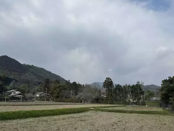 「【京都】春の嵐山観光で寄りたい！穴場の絶品たまごかけご飯（TKG）「たまごや」」の画像