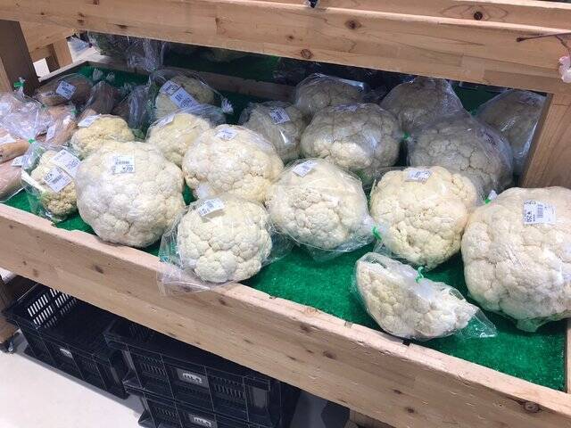 【京都食材】京野菜やレアなイタリア野菜も☆サウナ付日帰り温泉併設「じねんと市場」