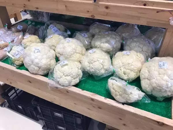 「【京都食材】京野菜やレアなイタリア野菜も☆サウナ付日帰り温泉併設「じねんと市場」」の画像