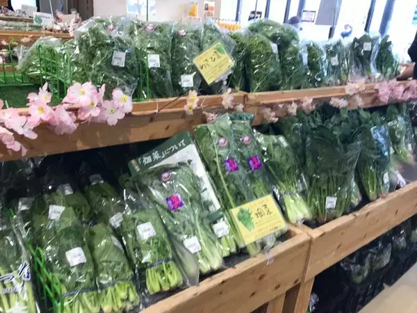 「【京都食材】京野菜やレアなイタリア野菜も☆サウナ付日帰り温泉併設「じねんと市場」」の画像