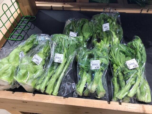 【京都食材】京野菜やレアなイタリア野菜も☆サウナ付日帰り温泉併設「じねんと市場」