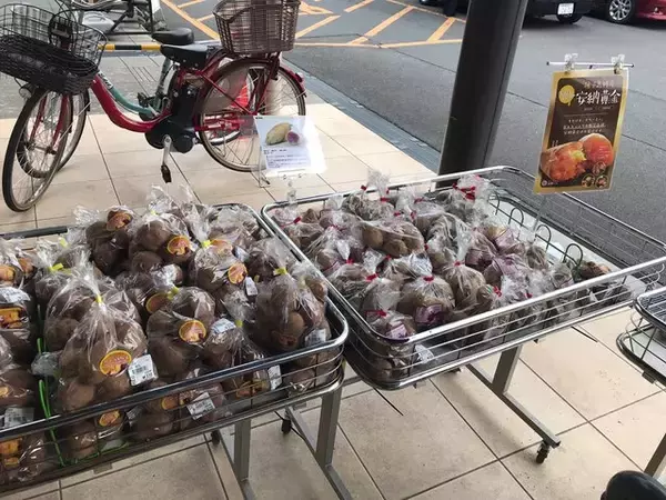 「【京都食材】京野菜やレアなイタリア野菜も☆サウナ付日帰り温泉併設「じねんと市場」」の画像