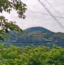 【世界文化遺産】慈照寺（銀閣寺）の侘び寂びの世界へ