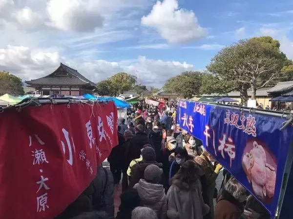 「【京都ツウ】縁起物『白蛇』登場ガラクタ市！恒例縁日『初弘法』で知られる世界遺産「東寺」」の画像