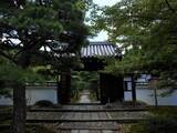 「【京都庭園めぐり】青もみじと竹林が涼しげ、サルスベリが咲く夏景色が魅力「圓光寺」【京都花めぐり】」の画像1