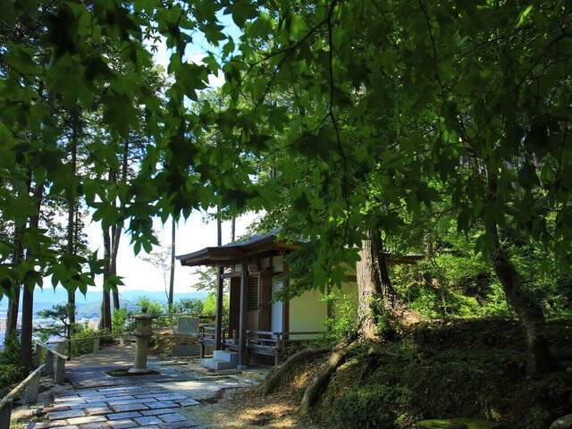 【京都庭園めぐり】青もみじと竹林が涼しげ、サルスベリが咲く夏景色が魅力「圓光寺」【京都花めぐり】