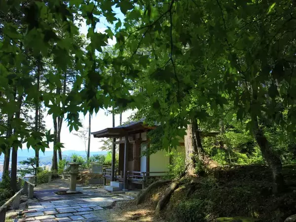 「【京都庭園めぐり】青もみじと竹林が涼しげ、サルスベリが咲く夏景色が魅力「圓光寺」【京都花めぐり】」の画像