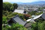 「【京都庭園めぐり】青もみじと竹林が涼しげ、サルスベリが咲く夏景色が魅力「圓光寺」【京都花めぐり】」の画像17