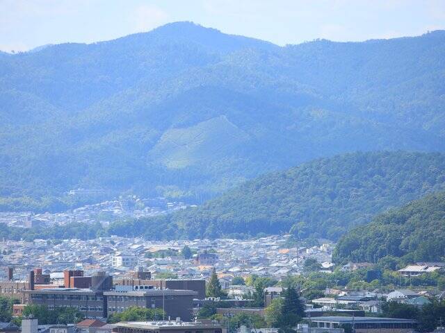 【京都庭園めぐり】青もみじと竹林が涼しげ、サルスベリが咲く夏景色が魅力「圓光寺」【京都花めぐり】