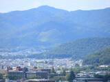 「【京都庭園めぐり】青もみじと竹林が涼しげ、サルスベリが咲く夏景色が魅力「圓光寺」【京都花めぐり】」の画像18