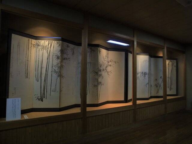 【京都庭園めぐり】青もみじと竹林が涼しげ、サルスベリが咲く夏景色が魅力「圓光寺」【京都花めぐり】