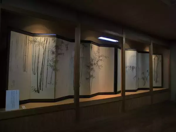 「【京都庭園めぐり】青もみじと竹林が涼しげ、サルスベリが咲く夏景色が魅力「圓光寺」【京都花めぐり】」の画像