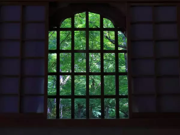 「【京都庭園めぐり】青もみじと竹林が涼しげ、サルスベリが咲く夏景色が魅力「圓光寺」【京都花めぐり】」の画像