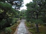 「【京都庭園めぐり】青もみじと竹林が涼しげ、サルスベリが咲く夏景色が魅力「圓光寺」【京都花めぐり】」の画像3