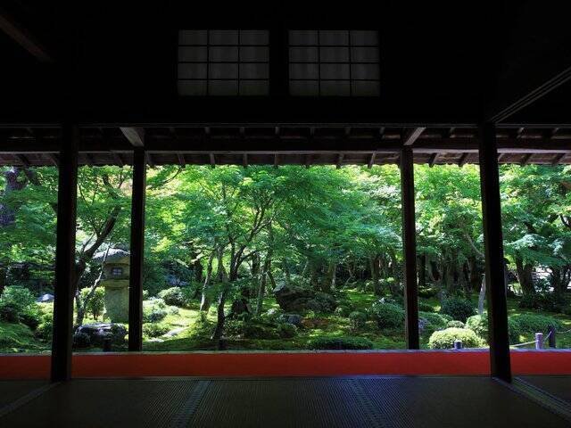 【京都庭園めぐり】青もみじと竹林が涼しげ、サルスベリが咲く夏景色が魅力「圓光寺」【京都花めぐり】