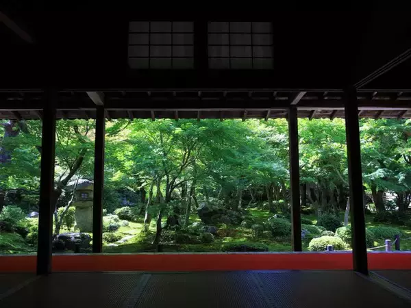 「【京都庭園めぐり】青もみじと竹林が涼しげ、サルスベリが咲く夏景色が魅力「圓光寺」【京都花めぐり】」の画像