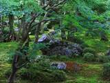「【京都庭園めぐり】青もみじと竹林が涼しげ、サルスベリが咲く夏景色が魅力「圓光寺」【京都花めぐり】」の画像6
