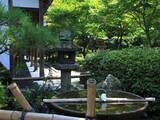 「【京都庭園めぐり】青もみじと竹林が涼しげ、サルスベリが咲く夏景色が魅力「圓光寺」【京都花めぐり】」の画像8