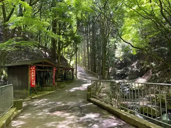 「【2023京都新緑】清流や史跡、料亭手打ち蕎麦も！清水寺奥の院「牛尾山ハイキング道」」の画像