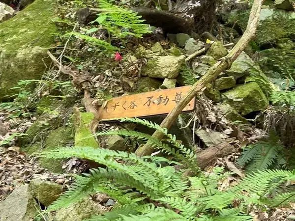 「【2023京都新緑】清流や史跡、料亭手打ち蕎麦も！清水寺奥の院「牛尾山ハイキング道」」の画像