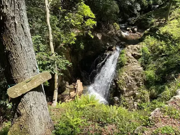 「【2023京都新緑】清流や史跡、料亭手打ち蕎麦も！清水寺奥の院「牛尾山ハイキング道」」の画像