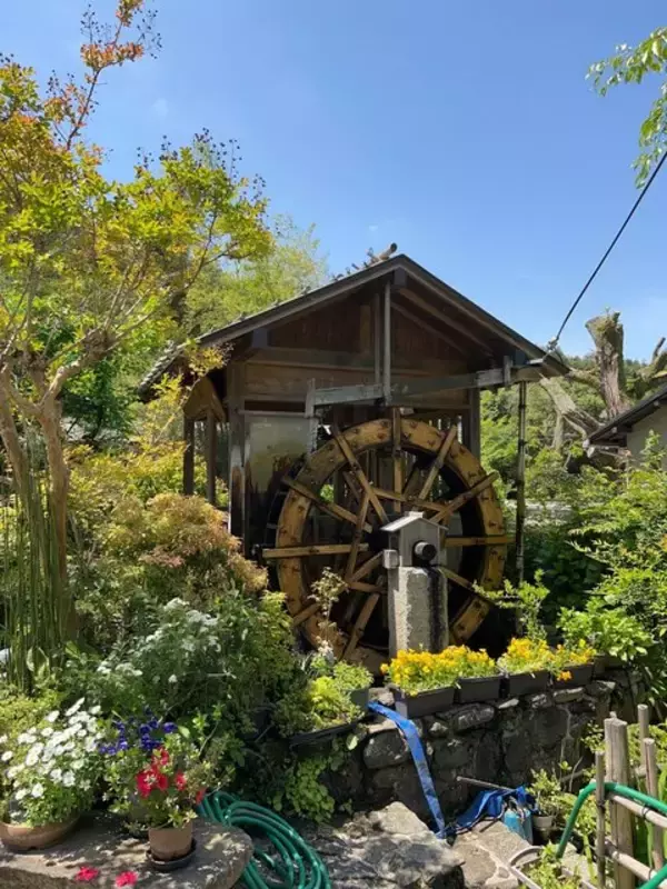 「【2023京都新緑】清流や史跡、料亭手打ち蕎麦も！清水寺奥の院「牛尾山ハイキング道」」の画像