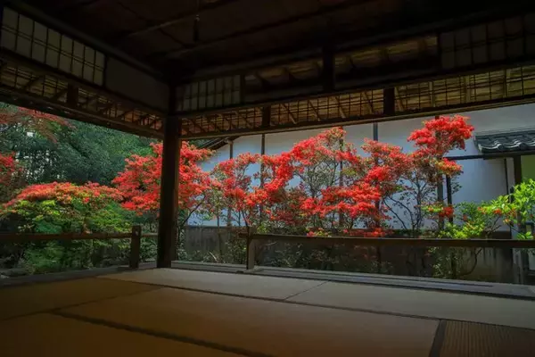 「【特別拝観】美しい襖絵と庭園に魅了されます「妙心寺大雄院」」の画像