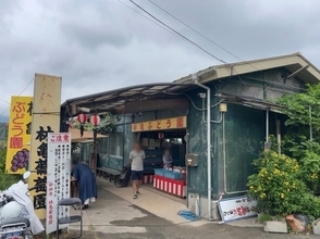 【お盆グルメ】京都市内のぶどう名産地！シャインマスカットは最盛期「林亀ぶどう園」
