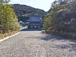 【京都】春の恒例行事　日本最大級、迫力の大涅槃図 公開「御寺泉涌寺」