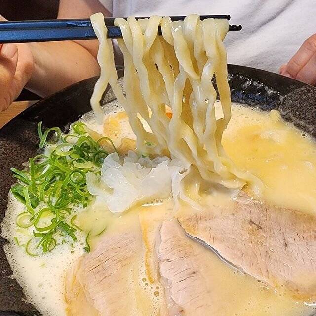 濃厚豚骨と鶏白湯のラーメンが一押し！千本丸太町のニューカマー「麺屋 一麺専心」