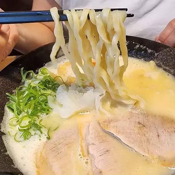 「濃厚豚骨と鶏白湯のラーメンが一押し！千本丸太町のニューカマー「麺屋 一麺専心」」の画像