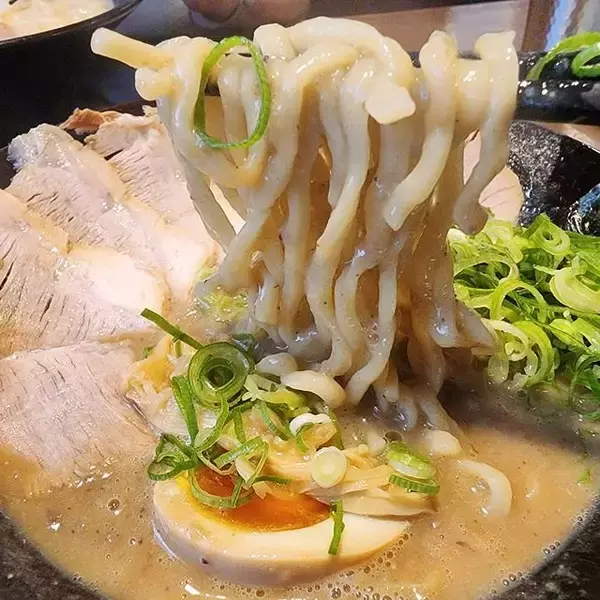 「濃厚豚骨と鶏白湯のラーメンが一押し！千本丸太町のニューカマー「麺屋 一麺専心」」の画像