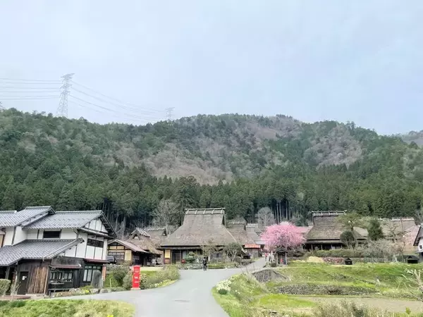 かやぶきの里『美山町』にたたずむプリンが美味しい小さなカフェ「美卵（みらん）」