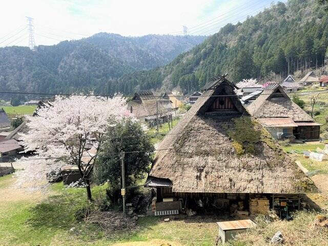 かやぶきの里『美山町』にたたずむプリンが美味しい小さなカフェ「美卵（みらん）」