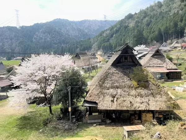 「かやぶきの里『美山町』にたたずむプリンが美味しい小さなカフェ「美卵（みらん）」」の画像