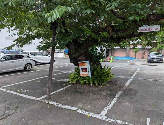 【京都銘菓】茶道裏千家お好み菓子「ふのやき」をスリル満点の裏口潜入で購入