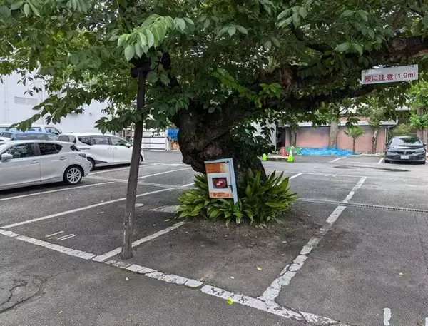 「【京都銘菓】茶道裏千家お好み菓子「ふのやき」をスリル満点の裏口潜入で購入」の画像