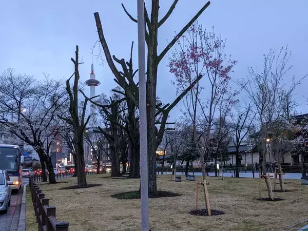 「【京都イベント】あの行灯に再び明かりが灯ります「東本願寺前花灯路」」の画像