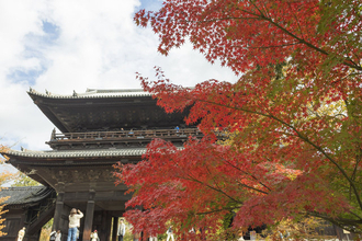 【京都紅葉2025】南禅寺境内と天授庵 五色幕と紅葉の雅やかな風景