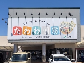 【京都直売所】初夏の珍しい地元野菜＆名残りの山菜が多彩！面白い切り花も「たわわ朝霧」