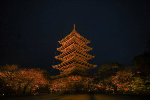 京都紅葉22 ライトアップされた五重塔と紅葉は日本の美 東寺 紅葉ライトアップ 22年11月25日 エキサイトニュース